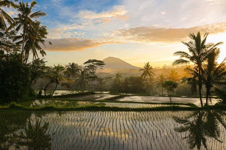Balinese Village Immersion: Ubud Day Trip with Foraging, Temple & Cooking photo 5