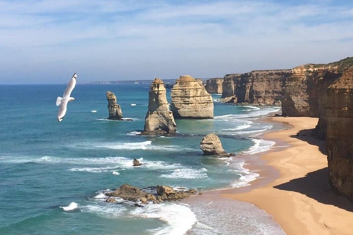 Express Great Ocean Road: Private Day Trip to the Twelve Apostles