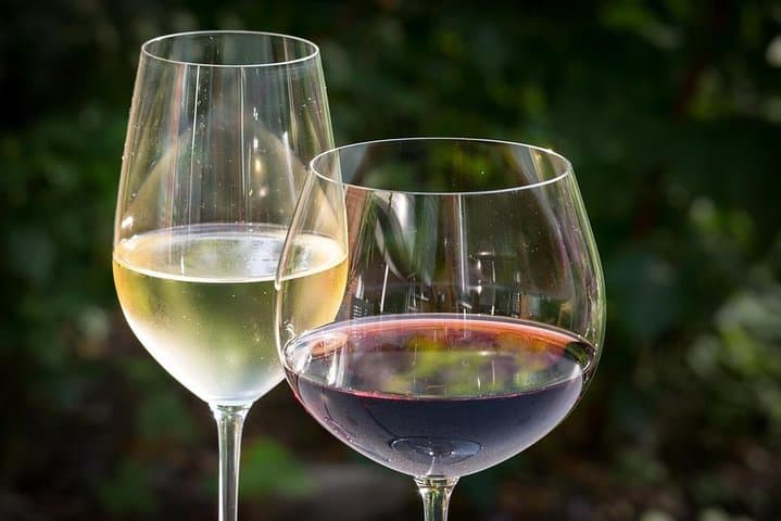 Private Ston and Peljesac Wine Tasting Day Trip from Dubrovnik
