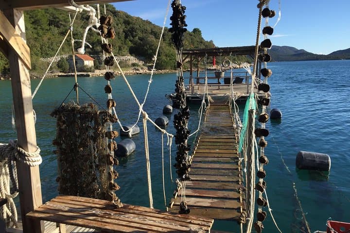 Private Ston and Peljesac Wine Tasting Day Trip from Dubrovnik photo 5