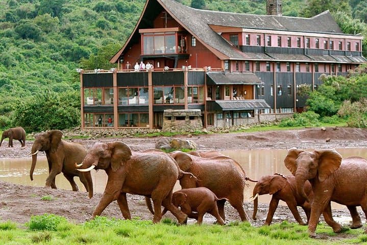 6-Day Aberdares, Lake Bogoria & Masai Mara Wildlife Safari: Big Five, Flamingos & Rift Valley photo 3