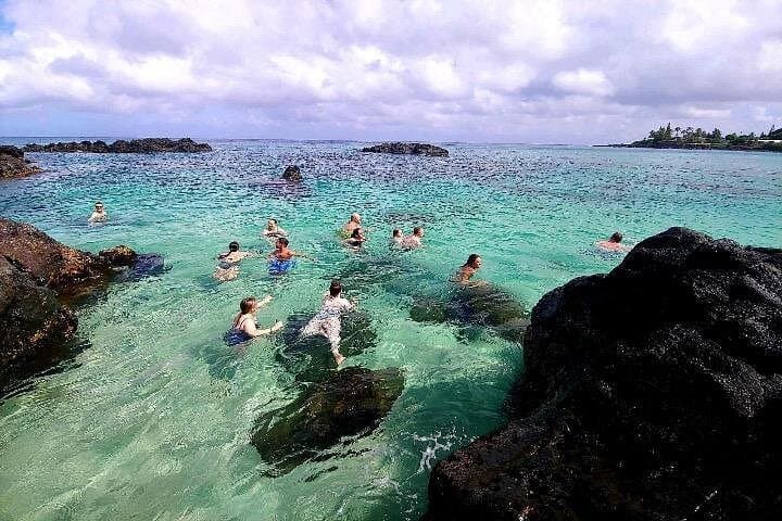 North Shore Paddle & Snorkel: Kevo's Beach Bus Full-Day Adventure from Waikiki photo 3