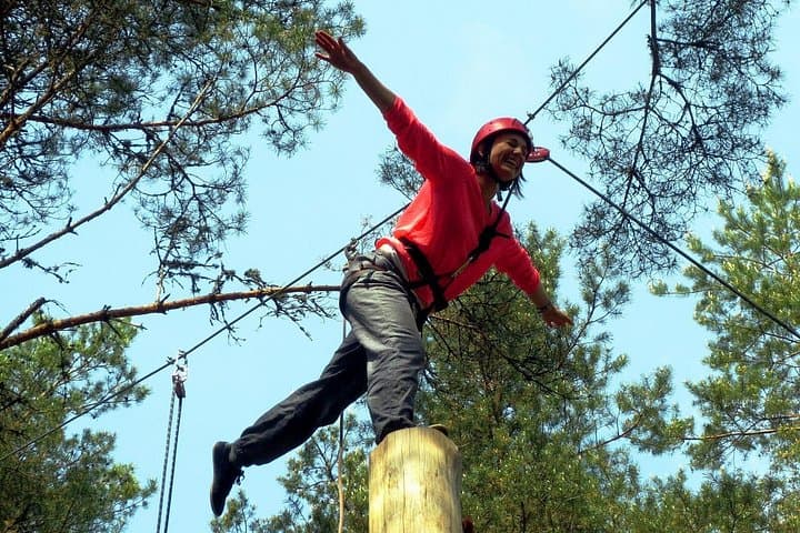 Tallinn High Ropes Course: Urban Tree-Top Adventure Near Old Town photo 2