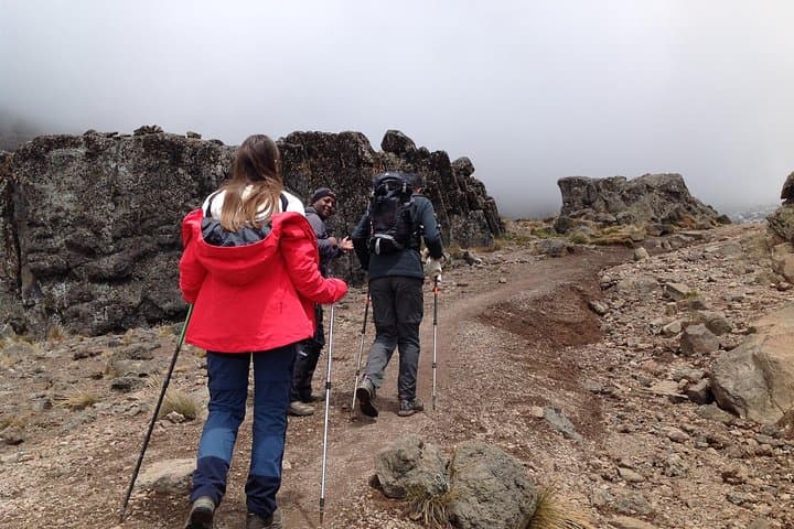 6-Day Kilimanjaro Machame Route Trek — Summit Uhuru Peak from Moshi