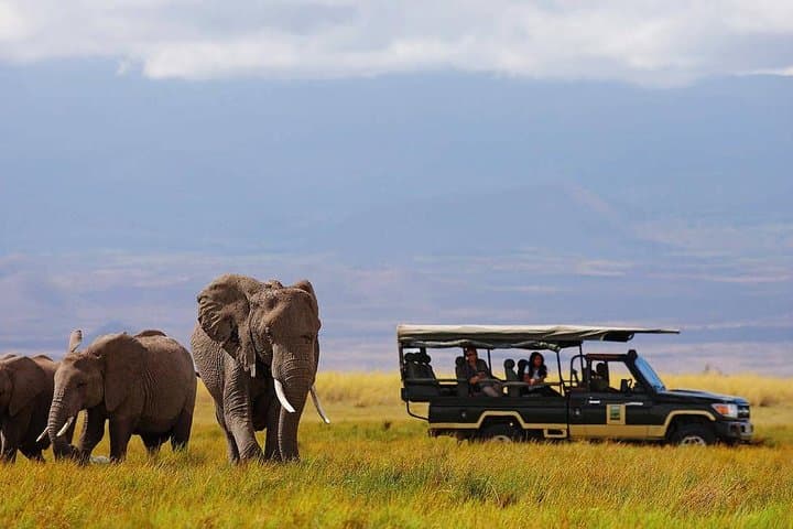 Elewana Luxury Safari: 11-Day Loisaba, Maasai Mara & Diani Beach Escape