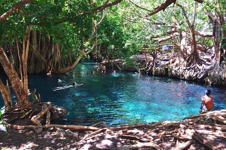 Kikuletwa Hotspring Day Trip from Moshi & Arusha