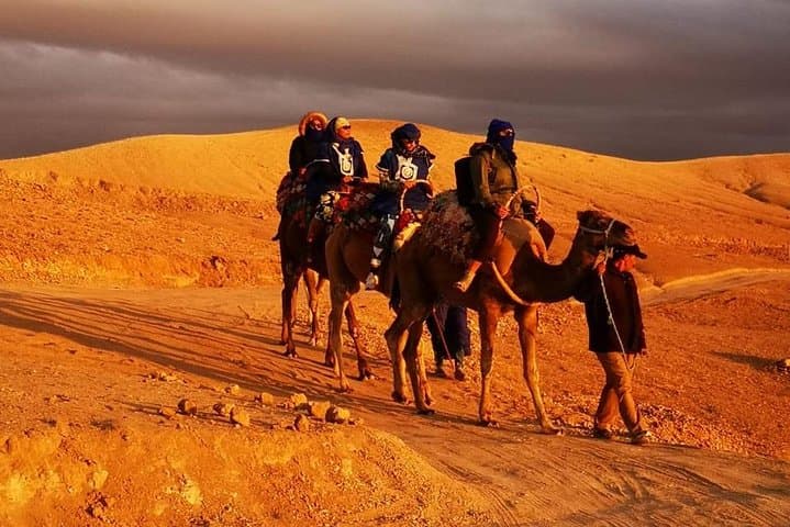 2-Day Zagora Desert Bivouac & Camel Trek from Marrakech