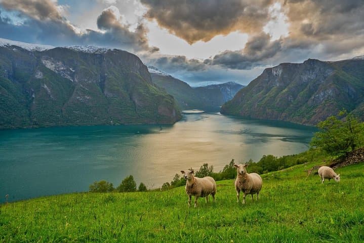 Private Guided Tour: Bergen to Nærøyfjord & Gudvangen (Viking Special) photo 1