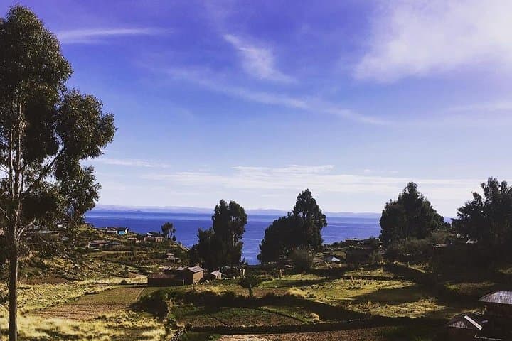 Full-Day Lake Titicaca: Uros, Amantani & Taquile Islands from Puno photo 6