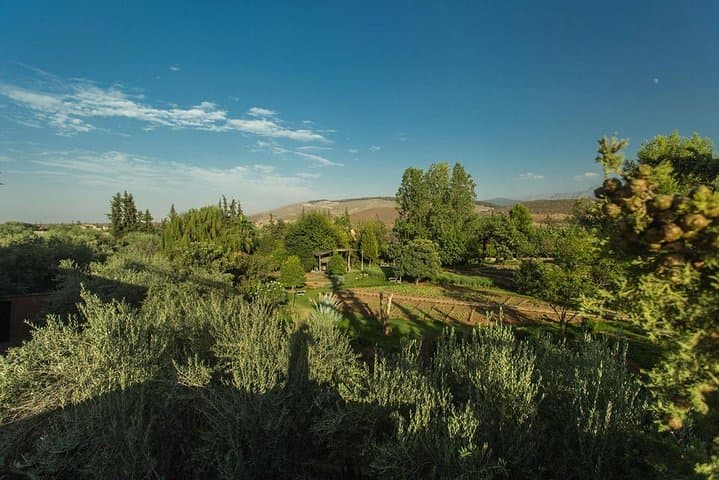 Ourika Garden Guided Day Trip from Marrakech — Aromatic Herbs & Atlas Valley Walk photo 4