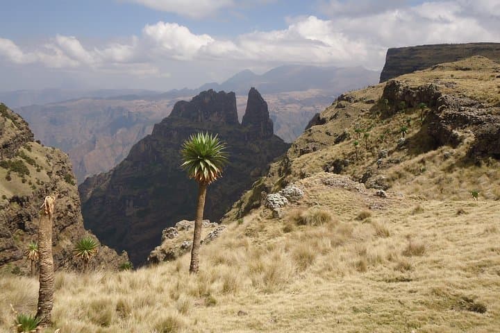 7-Day Simien Mountains Trek: Gondar to Mulit High-Altitude Adventure photo 3