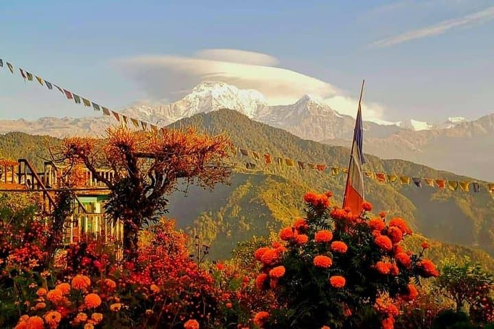 Dhampus Day Trek from Pokhara: 1-Day Private Annapurna Hike photo 3