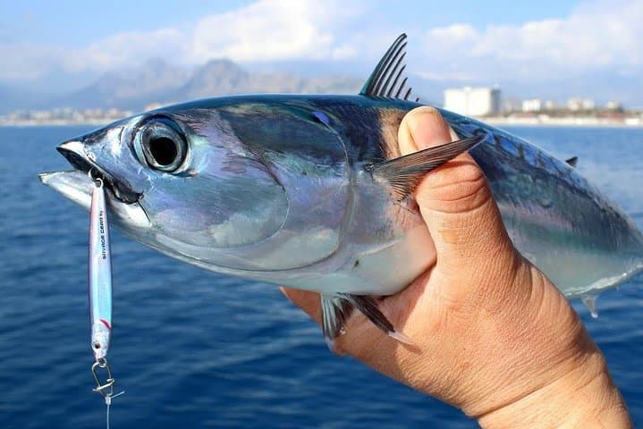 Half-Day Mediterranean Fishing Trip from Side — Transfer Included