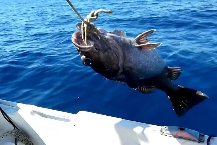 Half-Day Mediterranean Fishing Trip from Side — Transfer Included photo 5