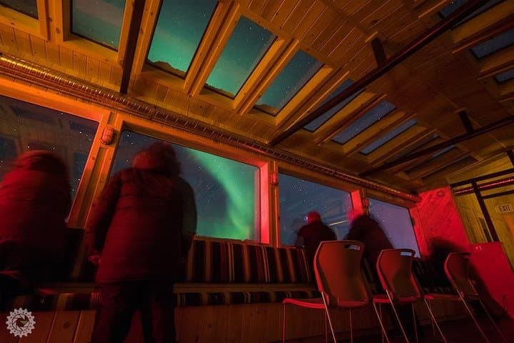 Churchill Aurora Adventure: Northern Lights, Dog Sledding & Tundra Nights photo 6