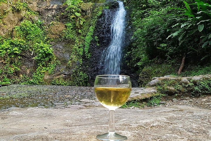 Martinique Rainforest & St-Pierre Food Tour: Rum, Waterfalls and Volcanic History photo 3