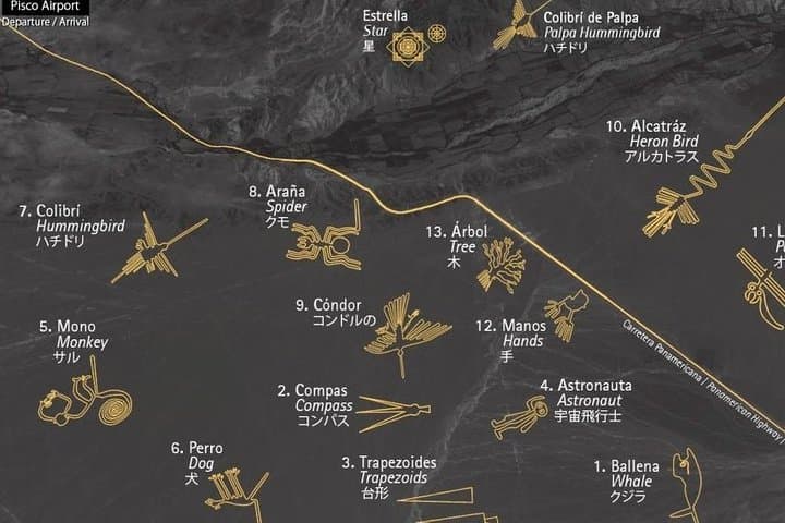 Nazca Lines Scenic Flight from Lima: Pisco Overflight & Ballestas Islands Day Tour