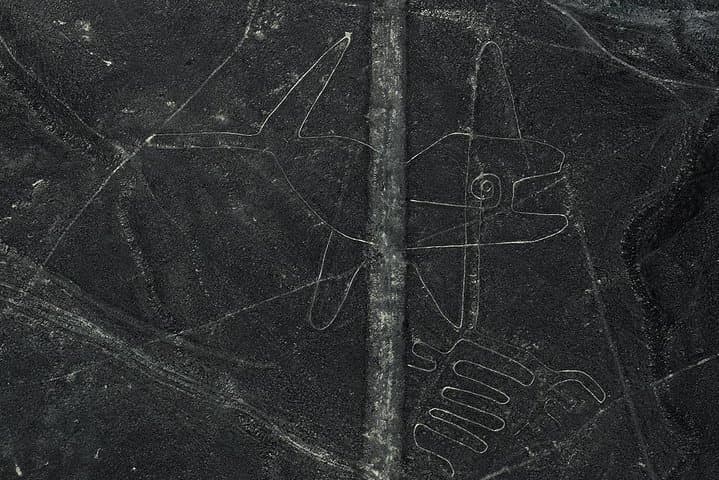 Nazca Lines Scenic Flight from Lima: Pisco Overflight & Ballestas Islands Day Tour photo 2