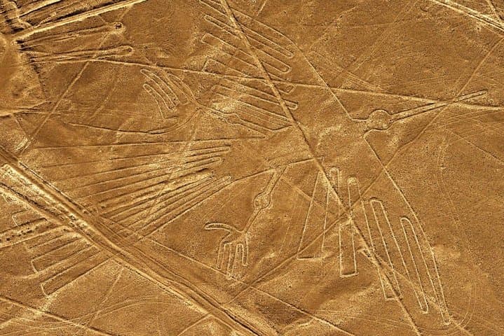 Nazca Lines Scenic Flight from Lima: Pisco Overflight & Ballestas Islands Day Tour photo 3