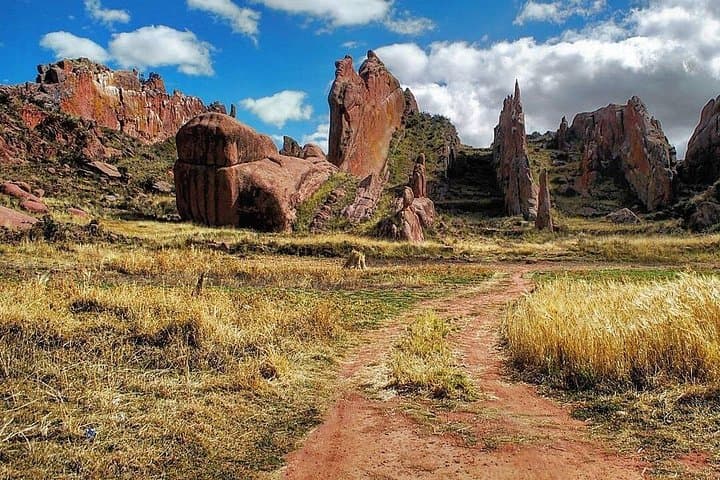 Private Day Trip from Puno to Tiwanaku — Puma Punku, Akapana & Aramu Muru photo 4