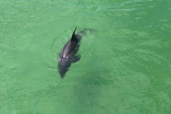 Guided Bike Tour Downtown Naples: Tin City to Naples Pier photo 3