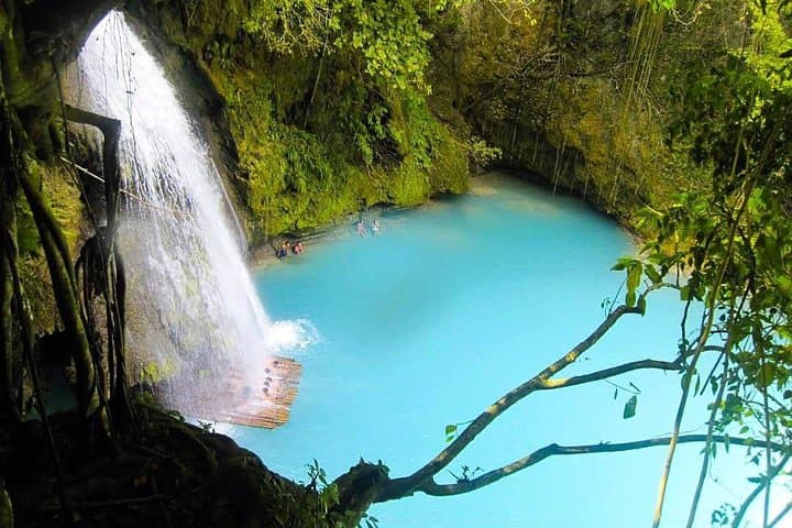 Oslob Whale Shark Watching & Badian Canyoneering: Full-Day Cebu Adventure photo 5