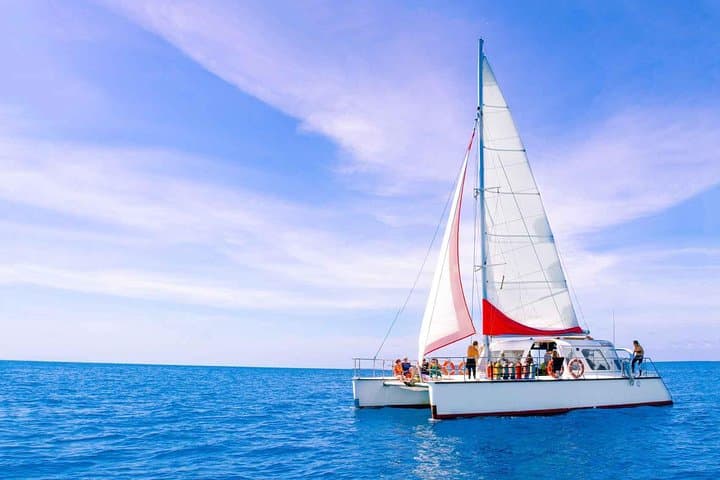 Sail to Upolu Reef: Full-Day Great Barrier Reef Snorkel Adventure from Cairns photo 4