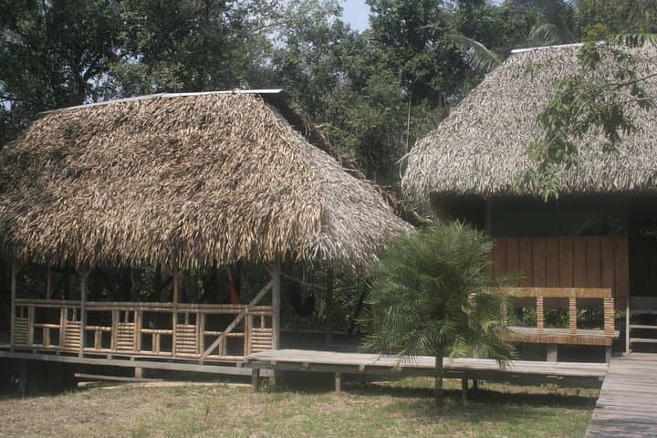 Amazon Jungle Indichuris Tour from Baños: Canoe, Waterfall & Indigenous Culture photo 3