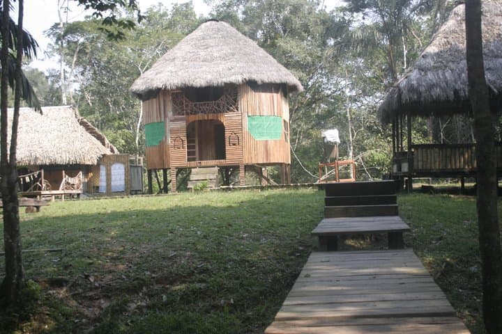 Amazon Jungle Indichuris Tour from Baños: Canoe, Waterfall & Indigenous Culture photo 6