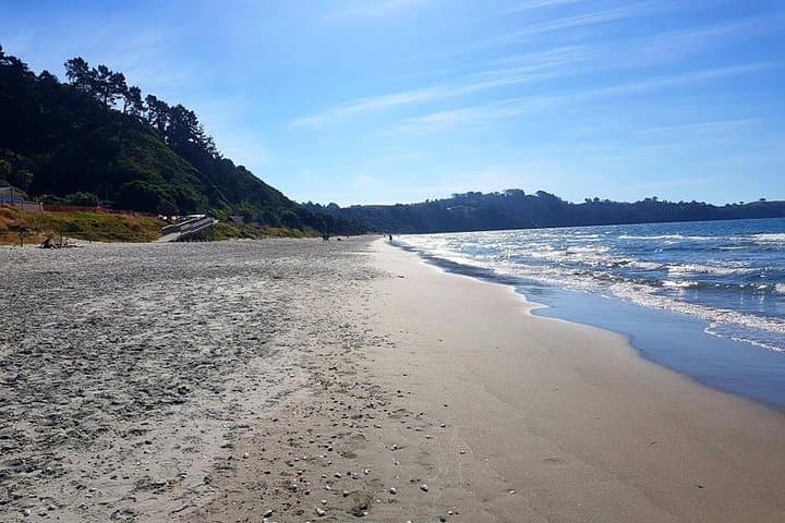 3-Day Waiheke Walking Holiday: Beaches, Vineyards & Coastal Tracks photo 6