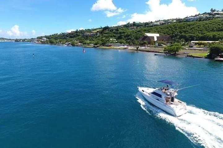 Tahiti Humpback Whale Watching and Swim Adventure photo 5