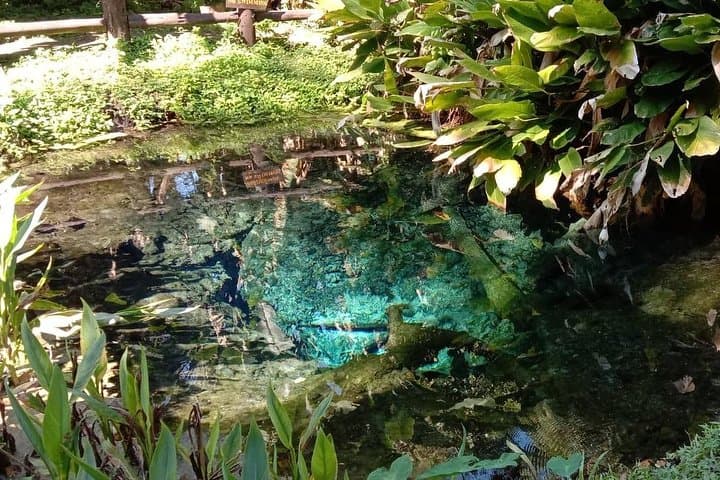 Doi Suthep, Wat Palad & the Sticky Waterfall: Chiang Mai Day-Trip Guide photo 2