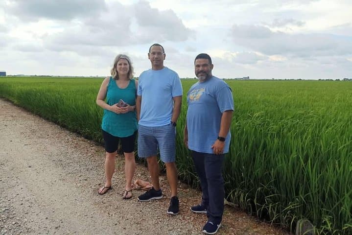 Sekinchan Paddy Fields & Bagan Fishing Village Day Tour from Kuala Lumpur