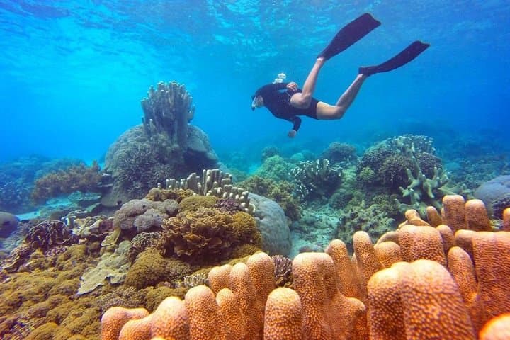 Half-Day Snorkel to Hon Mun: Nha Trang Bay Marine Life & Onboard Lunch photo 1
