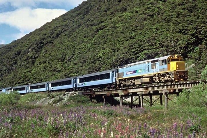 TranzAlpine to Arthur's Pass: A Day Through the Southern Alps photo 4
