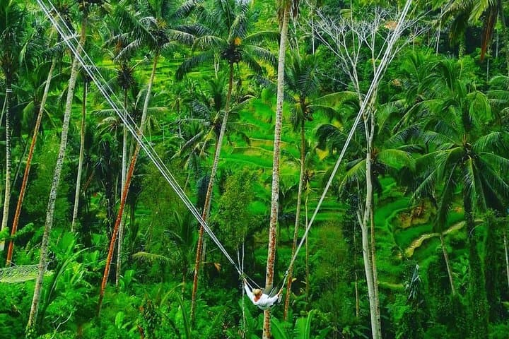 Bali Swing, Waterfall & Tanah Lot Day Tour from Kuta photo 2