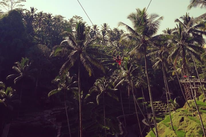 Bali Swing, Waterfall & Tanah Lot Day Tour from Kuta photo 3
