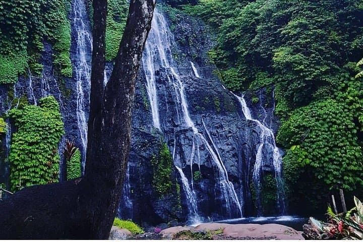 Bali Swing, Waterfall & Tanah Lot Day Tour from Kuta photo 4