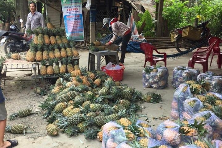 Customized Jeep Tours from Da Nang: Half-, Full- and Multi-Day Off-Road Adventures photo 3