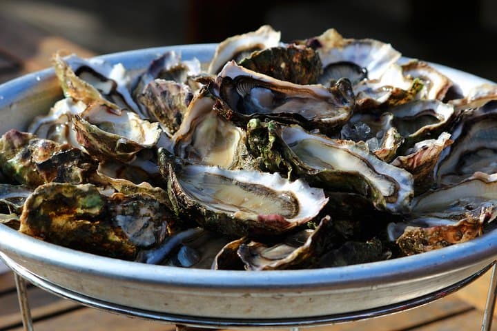 Mali Ston Oyster Tasting Day Trip from Dubrovnik photo 4
