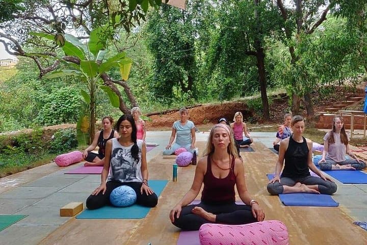 200-Hour Yin Yoga Therapy Training in Morjim - Month-Long Yoga Course Goa photo 4