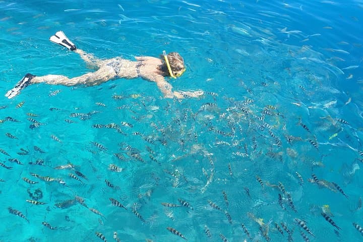 St Anne Marine Park & Moyenne Island Private Boat Trip with Creole Lunch photo 3