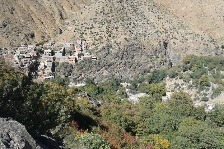 Ourika Valley & Atlas Mountains Day Trip from Marrakech — Camel Ride & Local Lunch