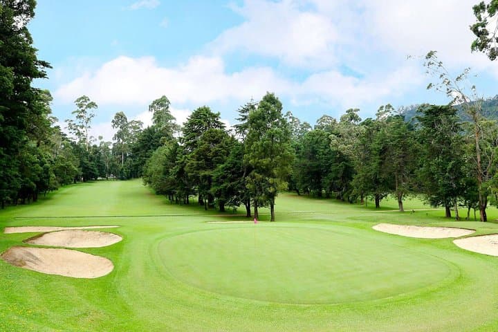 Nuwara Eliya Day Trip from Kandy: Tea Plantations, Gregory Lake & Ramboda Falls photo 2