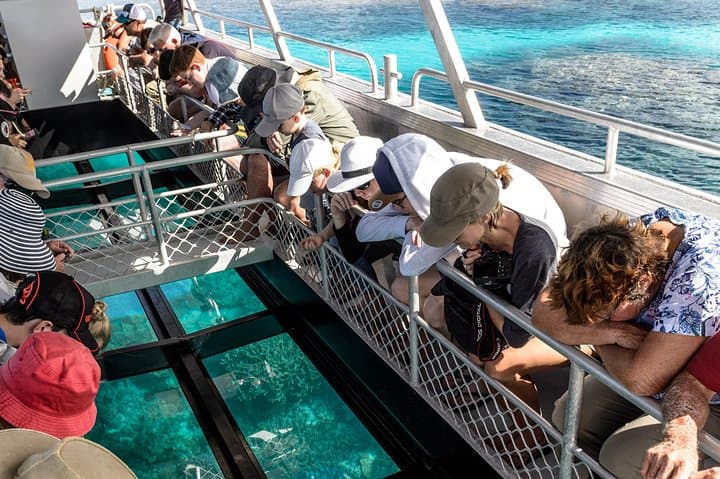 Explore Lady Musgrave Island: A Full-Day Snorkeling Adventure from Bundaberg photo 3
