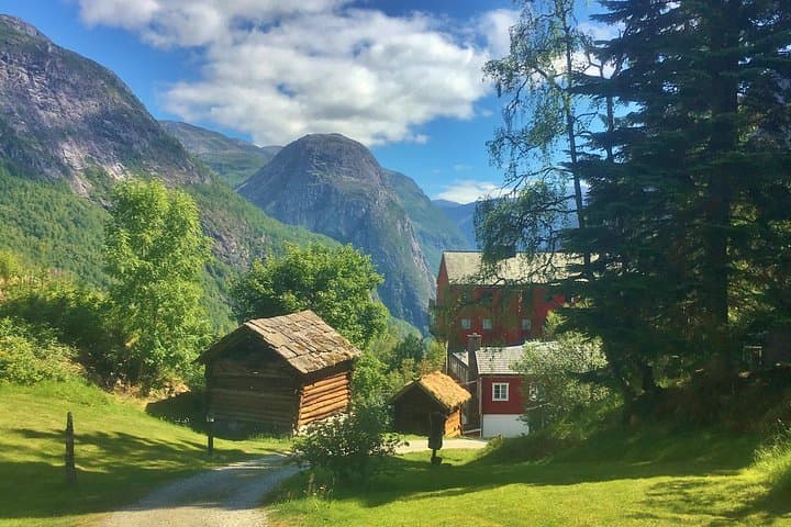 Explore Norway's UNESCO Fjords and Njardarheimr Viking Village from Flåm photo 3