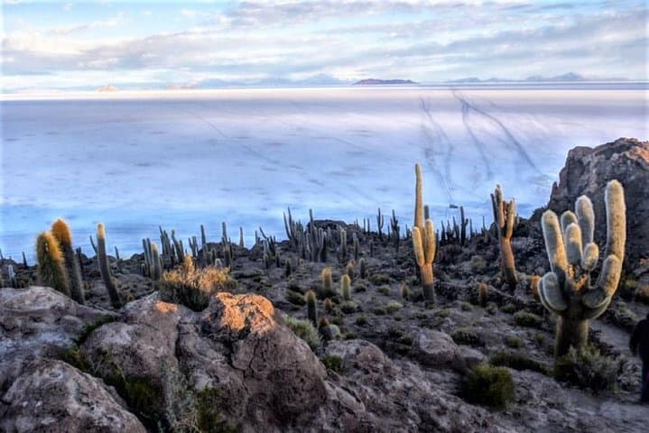 Three-Day Uyuni Salt Flats Expedition: Salar de Uyuni Highlights