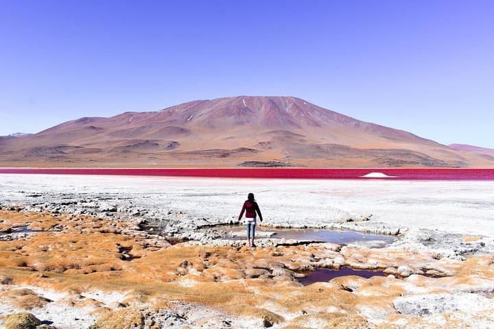 Three-Day Uyuni Salt Flats Expedition: Salar de Uyuni Highlights photo 6