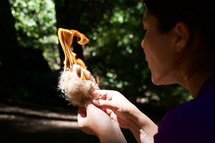 Wilderness Survival Clinic in Santa Cruz Redwoods: Shelter, Fire & Water Skills photo 3