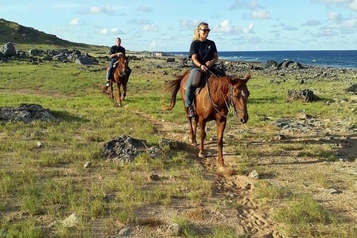 Gallop Aruba’s Rugged North Coast: 2.5‑Hour Advanced Horseback Adventure